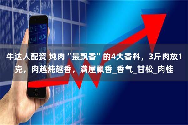 牛达人配资 炖肉“最飘香”的4大香料，3斤肉放1克，肉越炖越香，满屋飘香_香气_甘松_肉桂