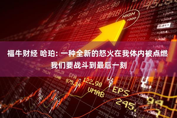 福牛财经 哈珀: 一种全新的怒火在我体内被点燃 我们要战斗到最后一刻